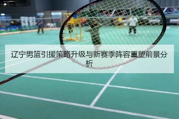 辽宁男篮引援策略升级与新赛季阵容重塑前景分析